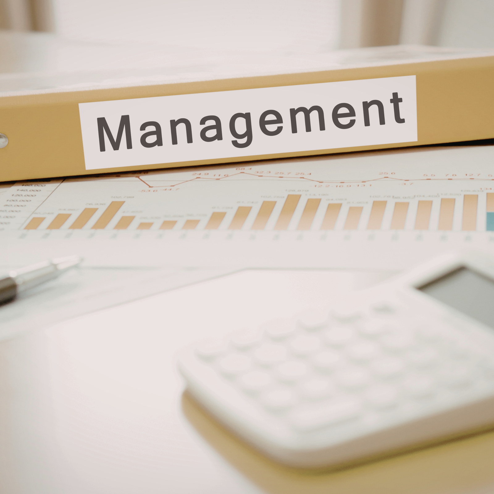 management-reporting